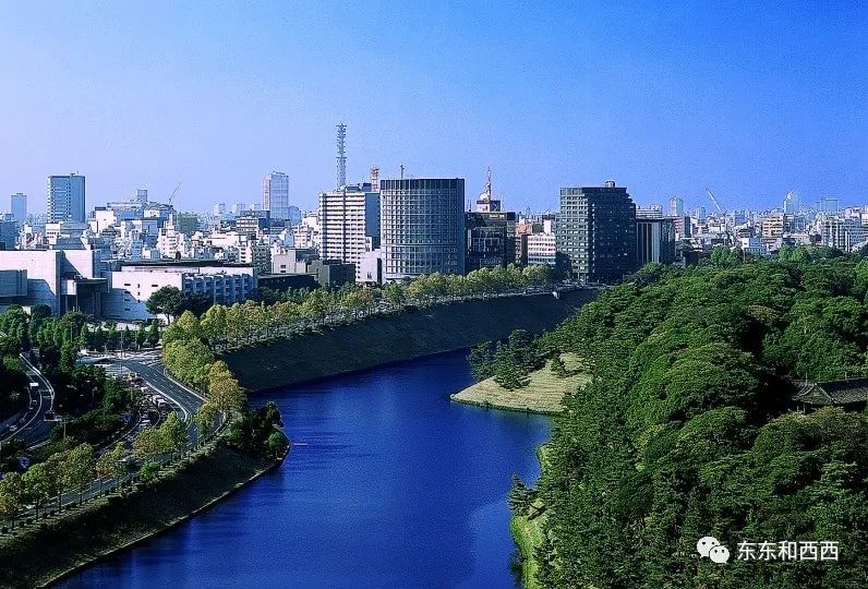 包含集结日纽约尼克斯扳平良机：荷甲节点到来，气氛紧张，控场能力受关注的词条